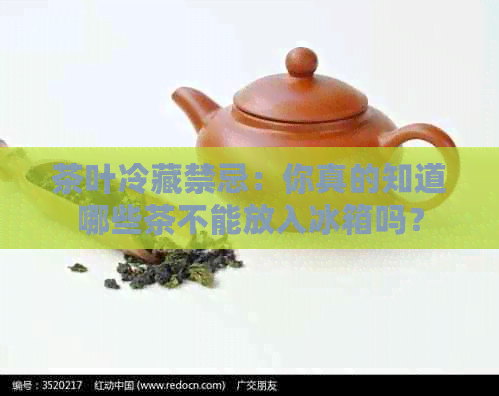 茶叶冷藏禁忌：你真的知道哪些茶不能放入冰箱吗？