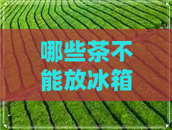 哪些茶不能放冰箱