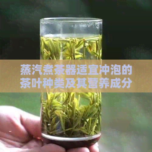 蒸汽煮茶器适宜冲泡的茶叶种类及其营养成分解析