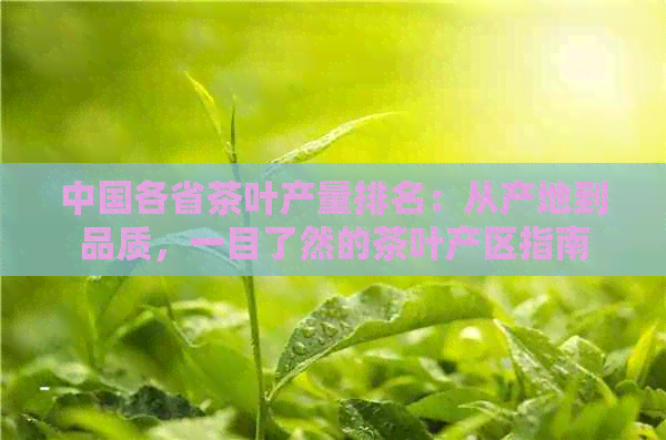 中国各省茶叶产量排名：从产地到品质，一目了然的茶叶产区指南