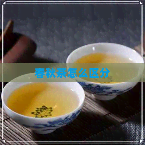 春秋茶怎么区分