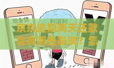 京东逾期两天还款会有哪些影响？怎么处理？