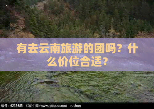 有去云南旅游的团吗？什么价位合适？