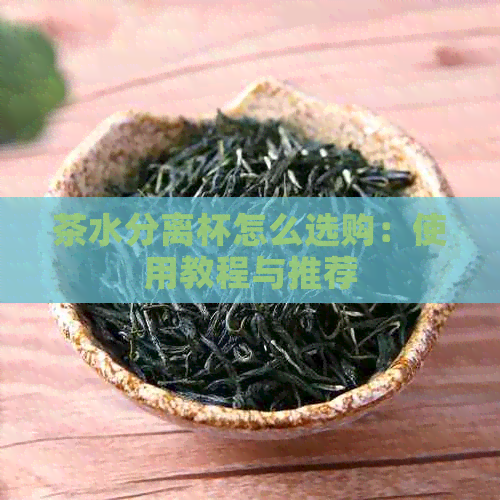 茶水分离杯怎么选购：使用教程与推荐