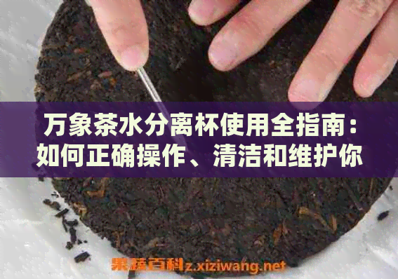 万象茶水分离杯使用全指南：如何正确操作、清洁和维护你的多功能茶水分离杯