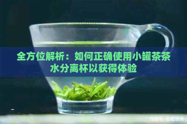 全方位解析：如何正确使用小罐茶茶水分离杯以获得体验