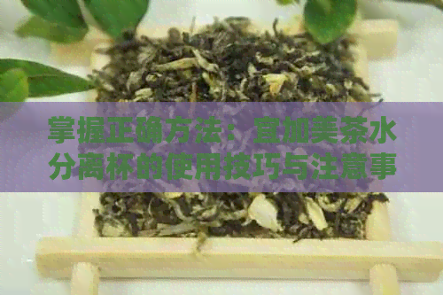 掌握正确方法：宜加美茶水分离杯的使用技巧与注意事项