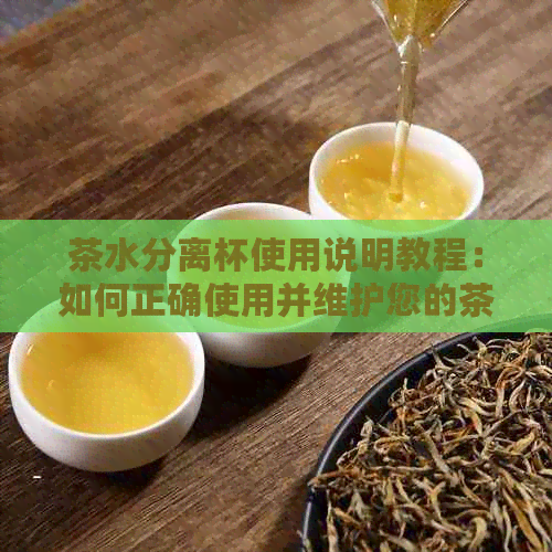 茶水分离杯使用说明教程：如何正确使用并维护您的茶水分离杯。