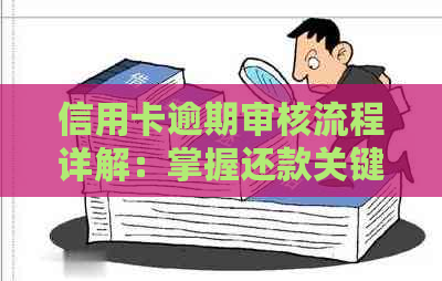 信用卡逾期审核流程详解：掌握还款关键时间点