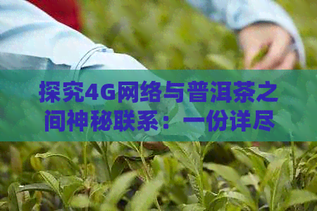 探究4G网络与普洱茶之间神秘联系：一份详尽指南