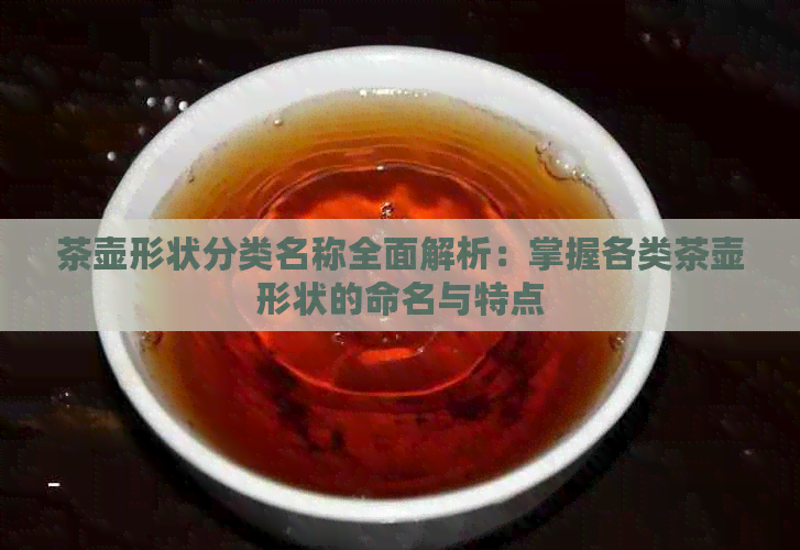 茶壶形状分类名称全面解析：掌握各类茶壶形状的命名与特点