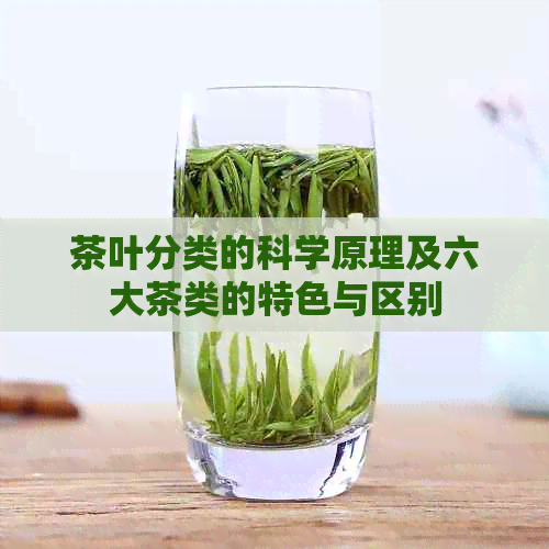 茶叶分类的科学原理及六大茶类的特色与区别