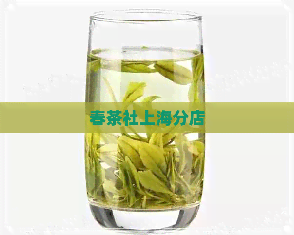 春茶社上海分店