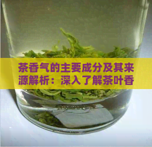 茶香气的主要成分及其来源解析：深入了解茶叶香气的构成和影响因素