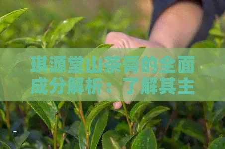 琪源堂山茶膏的全面成分解析：了解其主要功效及适用人群