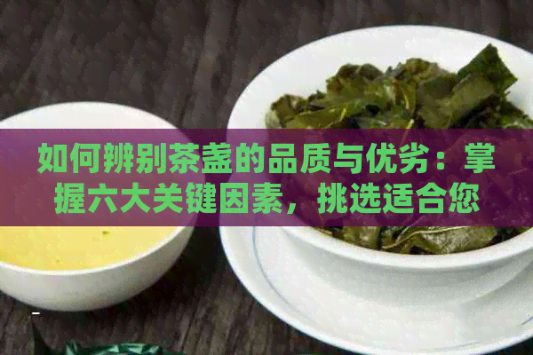 如何辨别茶盏的品质与优劣：掌握六大关键因素，挑选适合您的优质茶盏