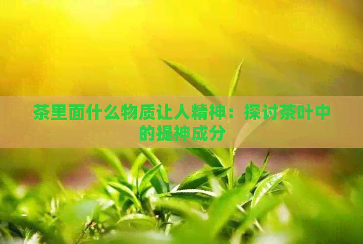 茶里面什么物质让人精神：探讨茶叶中的提神成分