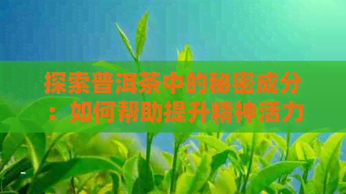 探索普洱茶中的秘密成分：如何帮助提升精神活力