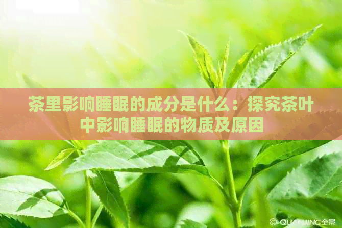 茶里影响睡眠的成分是什么：探究茶叶中影响睡眠的物质及原因