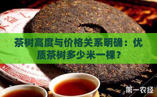 茶树高度与价格关系明确：优质茶树多少米一棵？