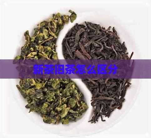 新茶旧茶怎么区分