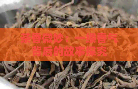 茶香微妙：一缕香气背后的故事探究