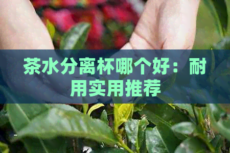 茶水分离杯哪个好：耐用实用推荐