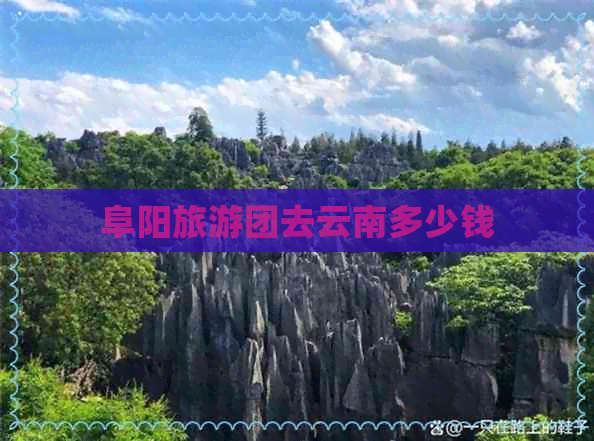 阜阳旅游团去云南多少钱