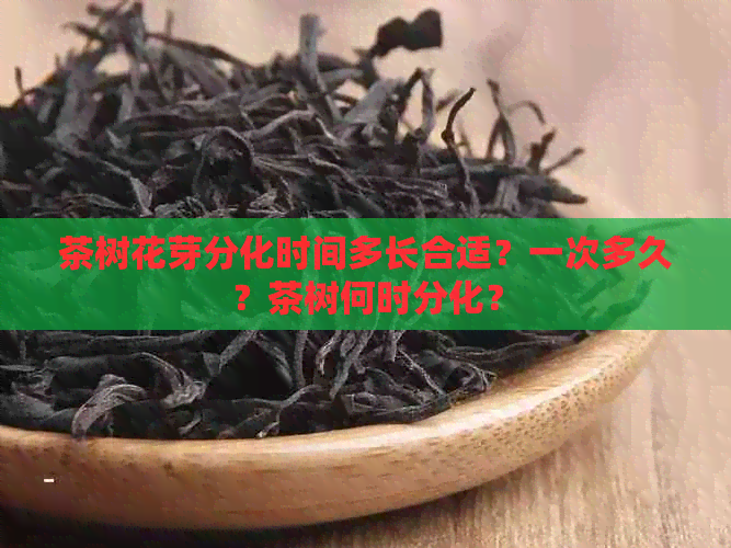 茶树花芽分化时间多长合适？一次多久？茶树何时分化？