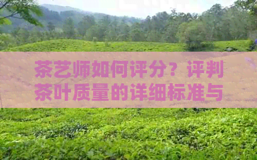 茶艺师如何评分？评判茶叶质量的详细标准与流程解析