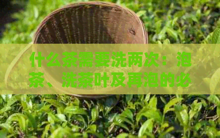 什么茶需要洗两次：泡茶、洗茶叶及再泡的必要性详解