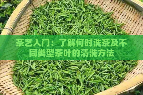 茶艺入门：了解何时洗茶及不同类型茶叶的清洗方法