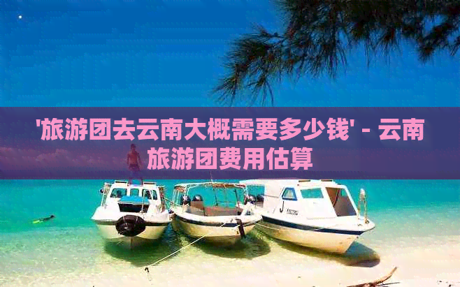 '旅游团去云南大概需要多少钱' - 云南旅游团费用估算