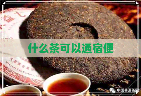 什么茶可以通宿便