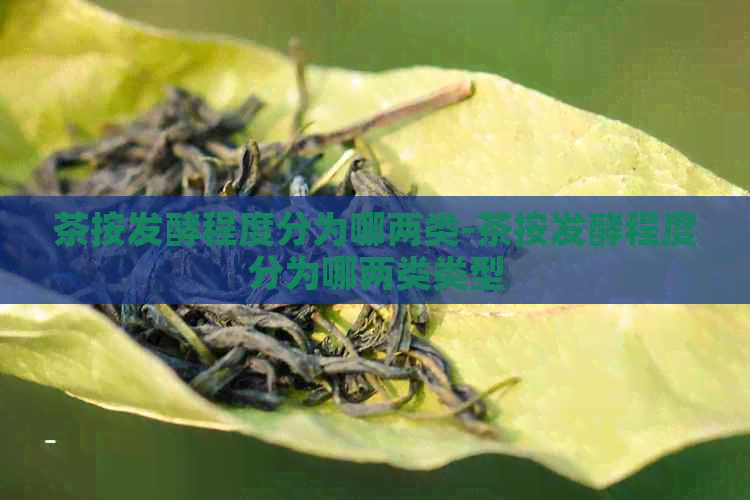 茶按发酵程度分为哪两类-茶按发酵程度分为哪两类类型