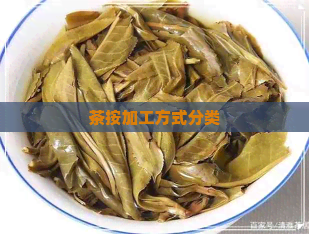 茶按加工方式分类