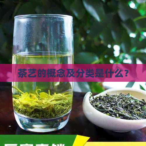 茶艺的概念及分类是什么？