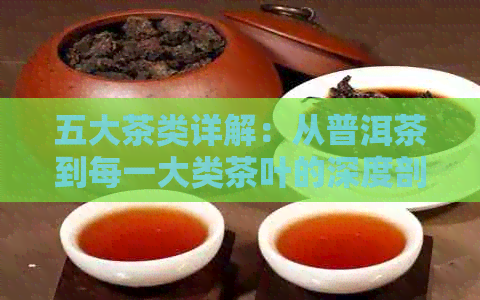 五大茶类详解：从普洱茶到每一大类茶叶的深度剖析