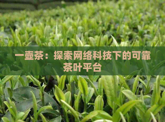 一壶茶：探索网络科技下的可靠茶叶平台