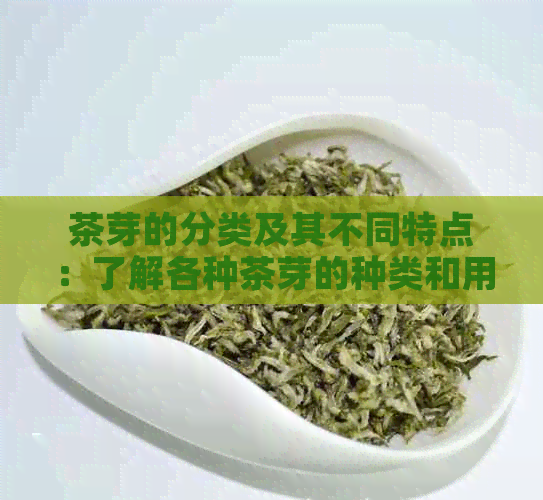 茶芽的分类及其不同特点：了解各种茶芽的种类和用途