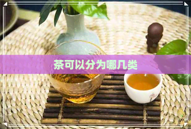 茶可以分为哪几类