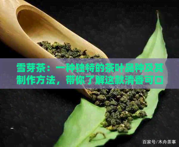 雪芽茶：一种独特的茶叶品种及其制作方法，带你了解这款清香可口的茶叶