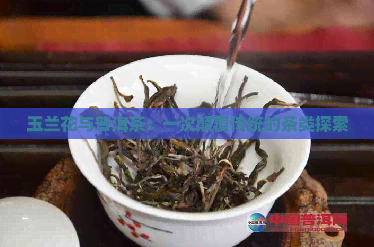 玉兰花与普洱茶：一次颠覆传统的茶类探索