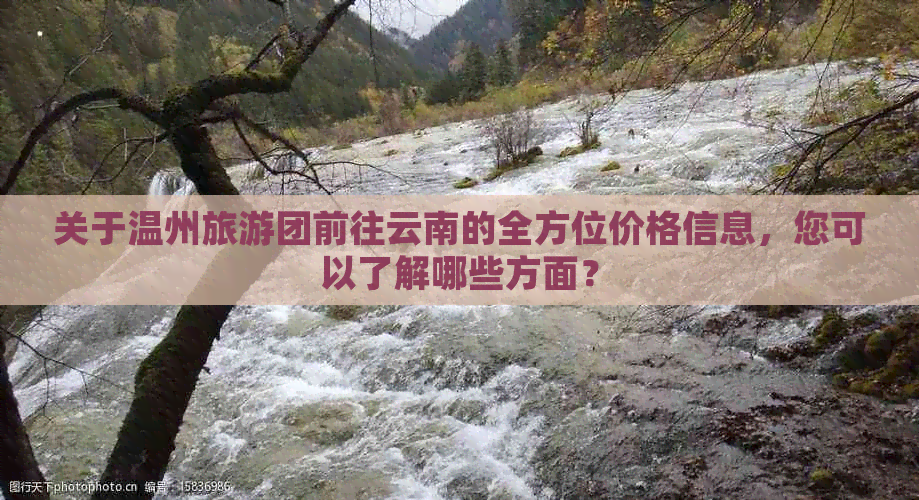 关于温州旅游团前往云南的全方位价格信息，您可以了解哪些方面？