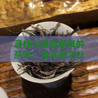 寻找与麦粒相似的茶叶：普洱茶之外的新选择