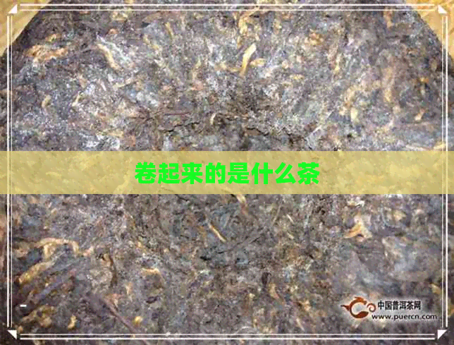 卷起来的是什么茶