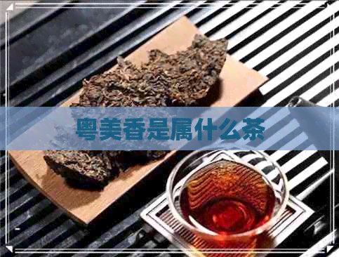 粤美香是属什么茶