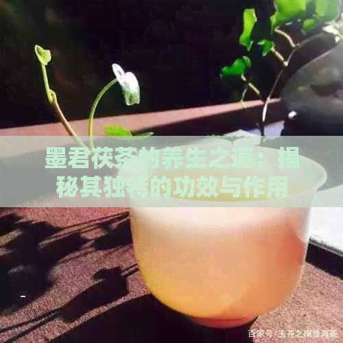 墨君茯茶的养生之道：揭秘其独特的功效与作用