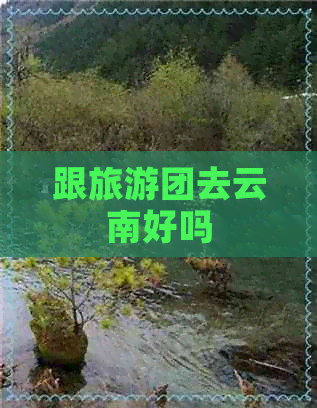 跟旅游团去云南好吗