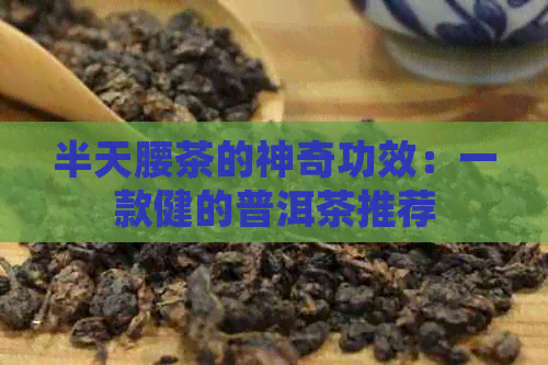 半天腰茶的神奇功效：一款健的普洱茶推荐